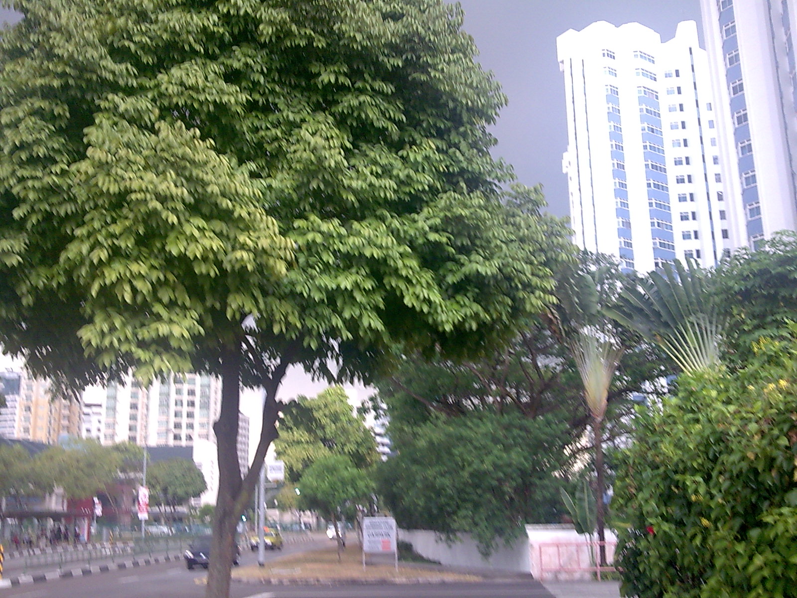 [Image003[1]]