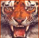 Screenshot from Mr. C's Training Wiki a tiger