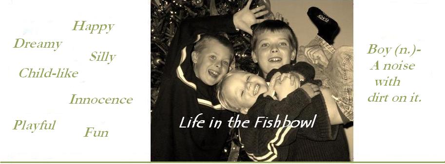 Life in the Fishbowl