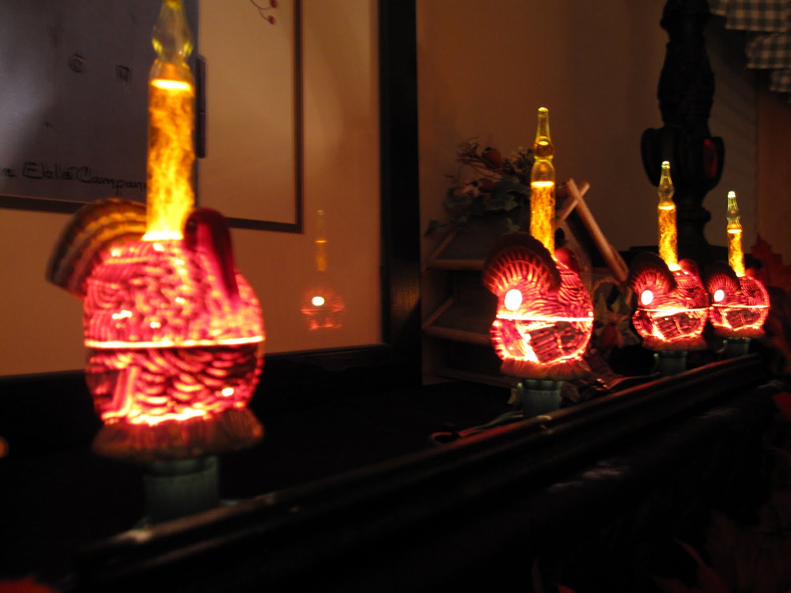 Bloggin Shih Tzu: Turkey Lights