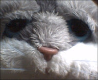 Meow