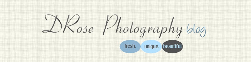 D Rose Photography Blog