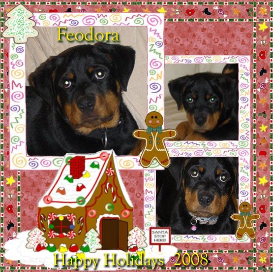 [HappyHoliday2008_Feodora-793512.jpg]