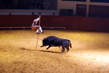 [REDUCIDA++-+RECORTADORES.jpg]