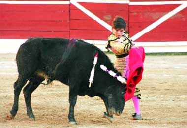 [Michelito+el+niÁƒÂ±o+torero.jpg]