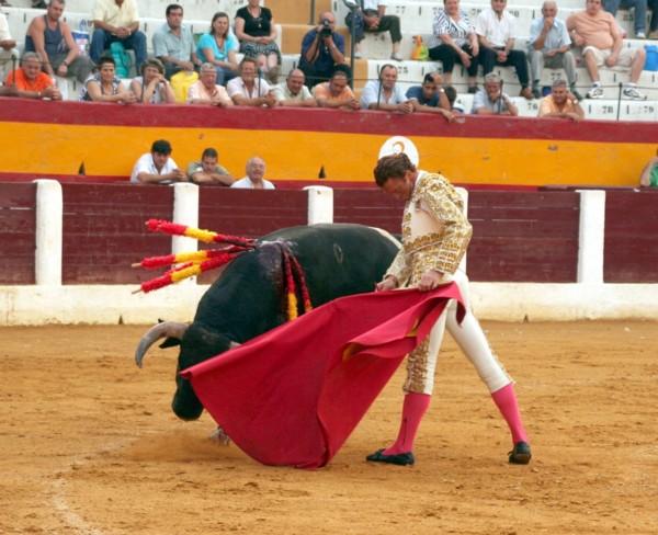 [alfonso+romero+cehegin.jpg]