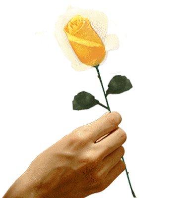 [roses129.gif]