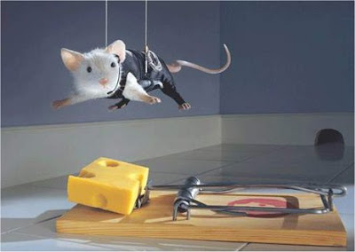 mousetrap.jpg