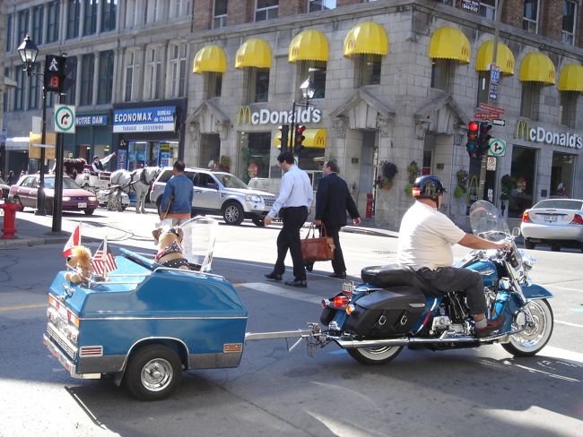 [moto.jpg]