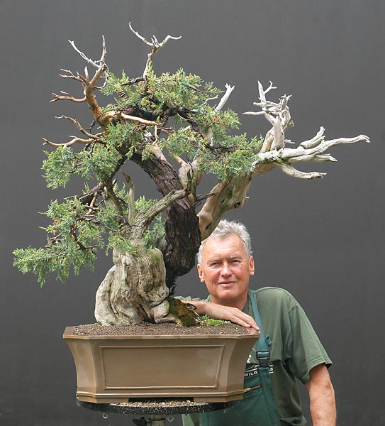Chậu cuối cùng cho cây Bonsai Rocky Mountain Juniper, Juniperus scopulorum của Walter Pall
