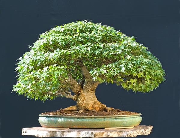 [2009-09-2-NSC_8377v.jpg]