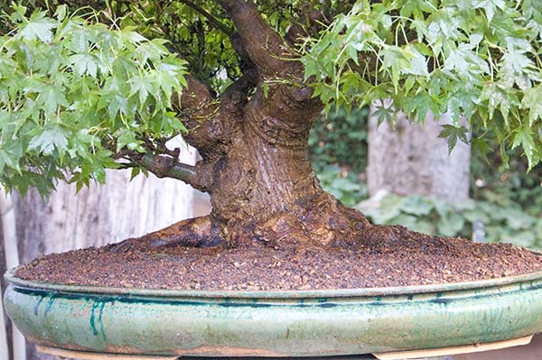 [2009-09-2-DSC_7791v.jpg]