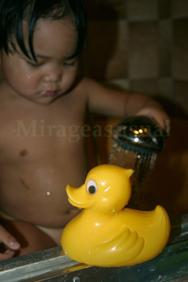 [duck.jpg]
