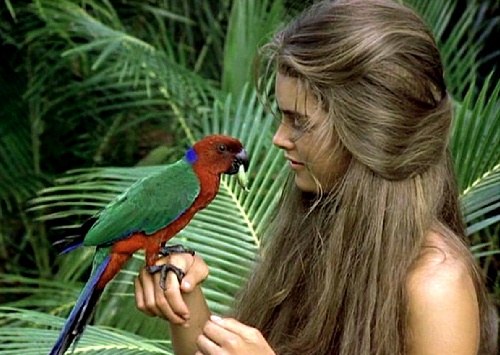 gary gross brooke shields