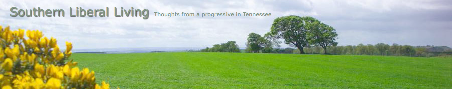 Southern Liberal Living