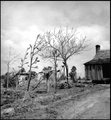 House with Bottle-Trees (1941)