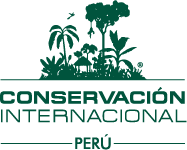 EMPLEOS PERU empleos peru: