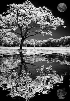 Black-And-White-Landscape-Photography