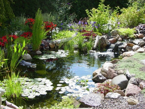 charmed dreaming of backyard