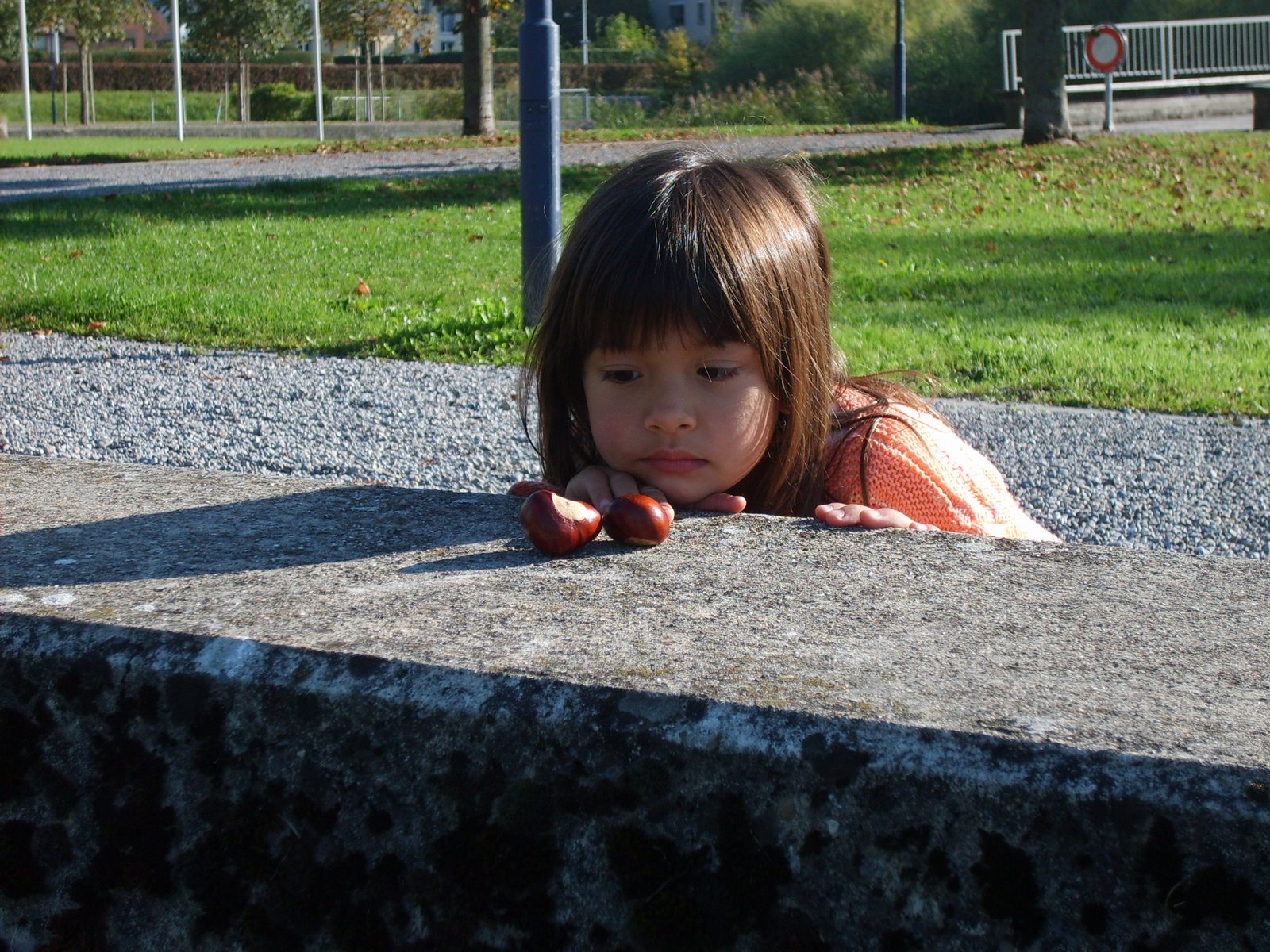 [Zug_Okt_2007+062.jpg]