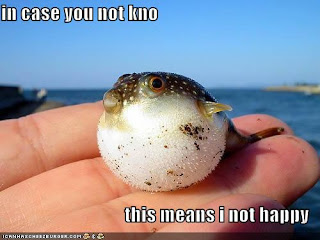 Dogfish+puffer+fish