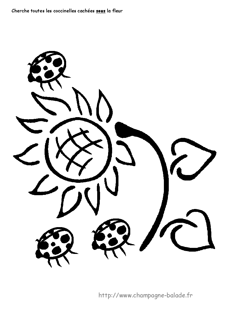 [080602coccinellesous-731151.gif]