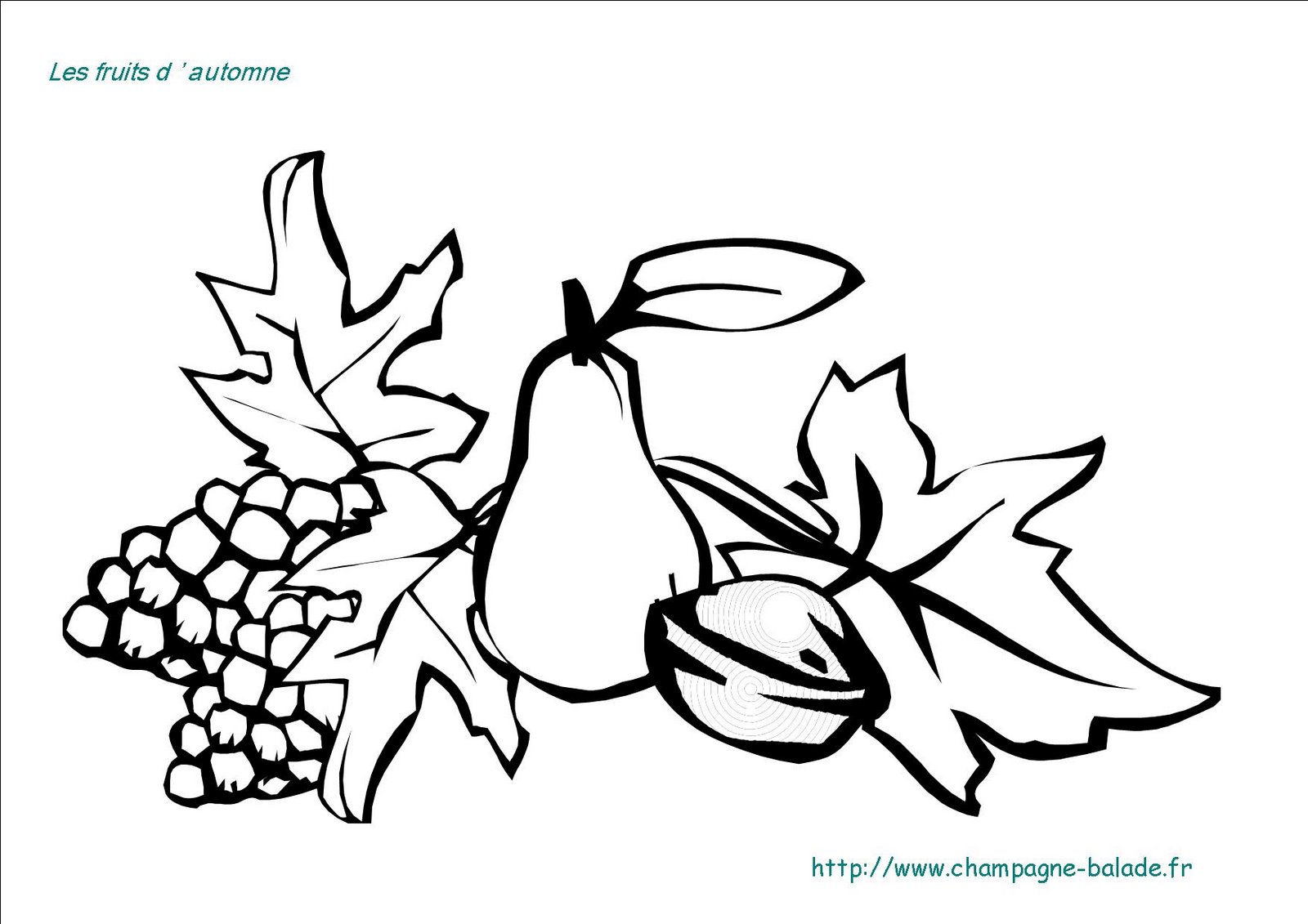 [fruits+d'automne-760798.jpg]
