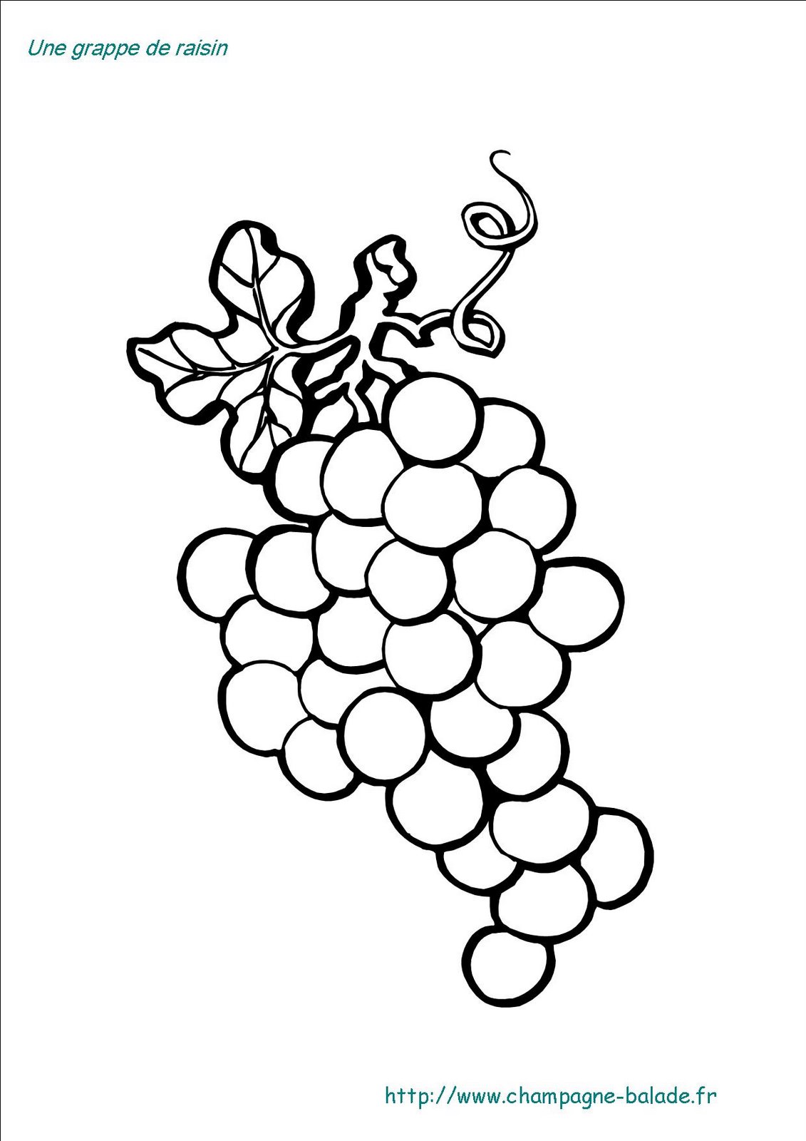 [grappe-raisin3-719589.jpg]