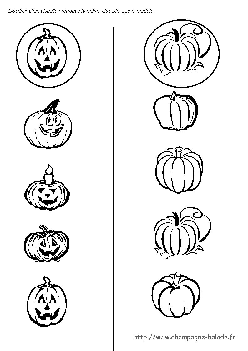 [citrouille+discri-visuelle-784882.gif]