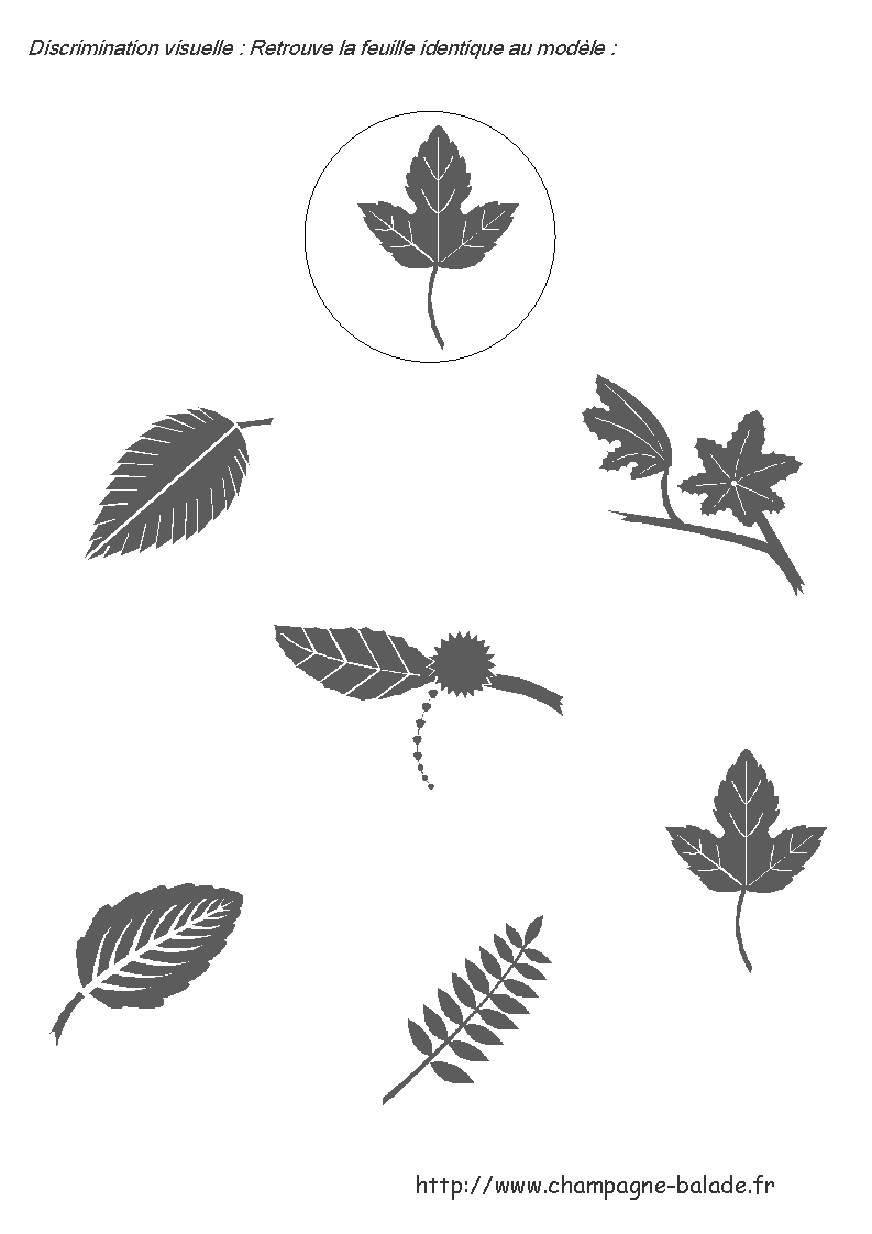 [dicr-visuelle-feuille(1)-777703.gif]