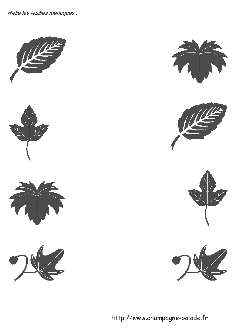 [relier-feuillePS-751658.gif]