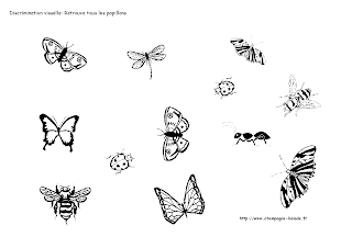 insecte papillon discrimination visuelle maternelle prescolaire PS insecte papillon discrimination visuelle maternelle prescolaire PS