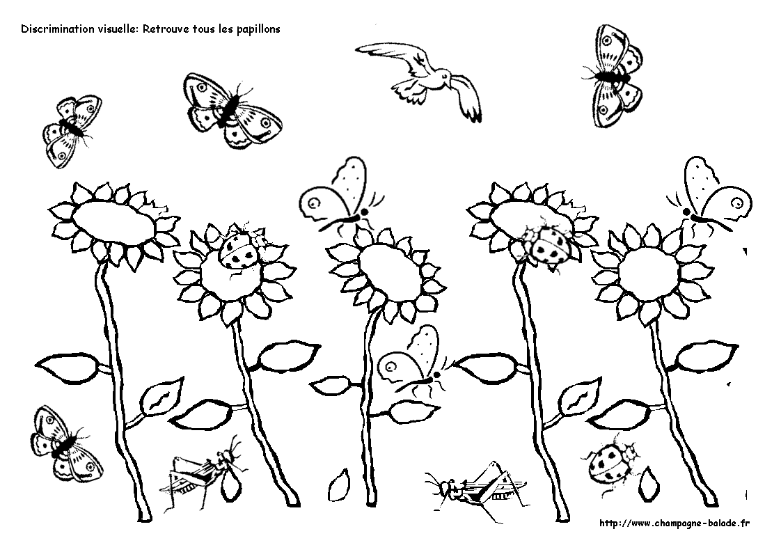 [retrouve+papillon+-+2.gif]