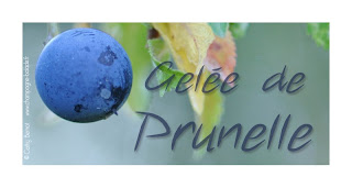 gelée de prunelle: étiquette à imprimer