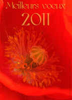 Joyeuses fêtes, carte de voeux 2011 Joyeuses fêtes, carte de voeux 2011