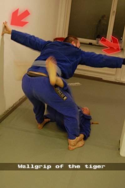 [BJJ2.jpg]