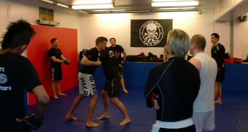 [liljeholmen+mma+1.jpg]