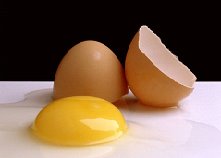 [egg2.bmp]