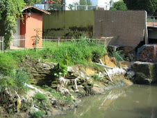 margem do igarapé - antes