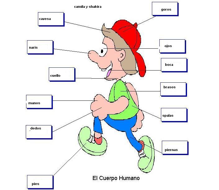 [ElCuerpoHumano-+camila+y+shakira.JPG]