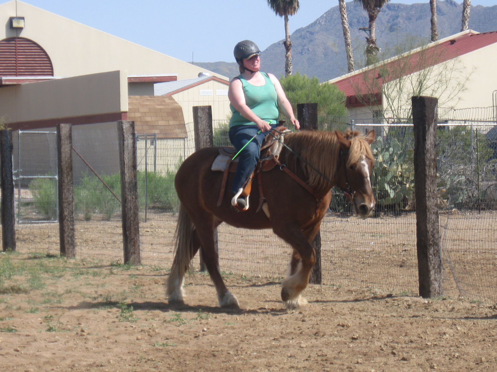 A Fat Girl & A Fat Horse March 2010