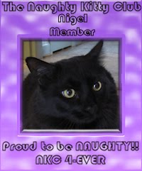 Nigel