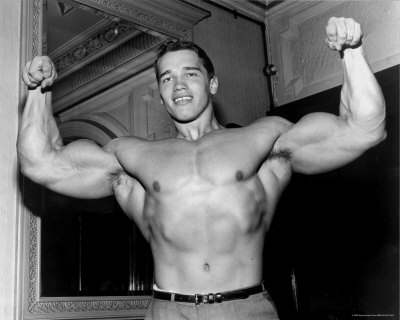 arnold schwarzenegger workout. arnold schwarzenegger workout