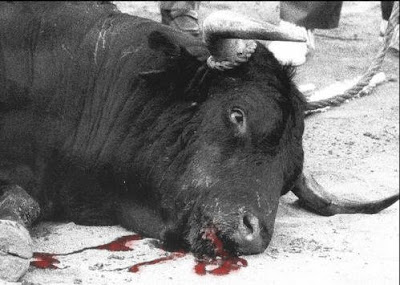 El Parlament abre la puerta a prohibir las corridas de toros en Catalunya - Página 4 Muerte-toro