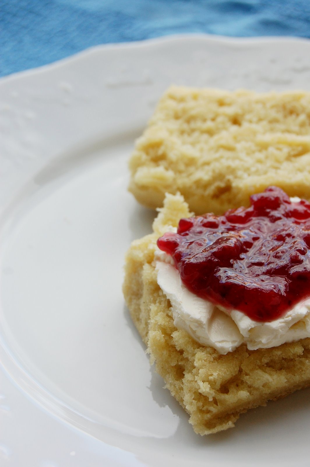 [yoghurt+scones+2.JPG]