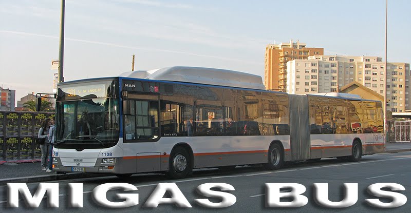 Migas Bus