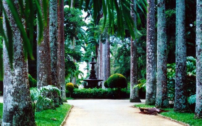 ipe de jardim botânico:Conheça alguns dos jardins mais belos do mundo – Verde em Folha ipe de jardim botânico:Conheça alguns dos jardins mais belos do mundo – Verde em Folha