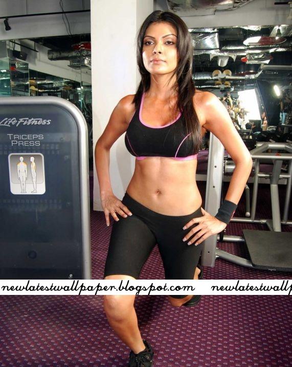 Sherlyn Chopra fitness fitness wallpaper. Sherlyn Chopra fitness