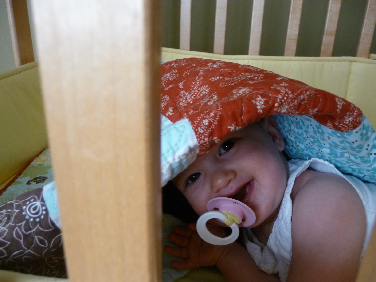 [P1020882.JPG]