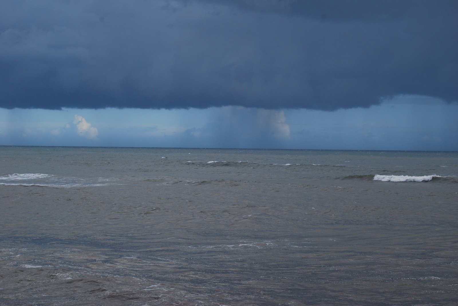 [DSC_0118.JPG]